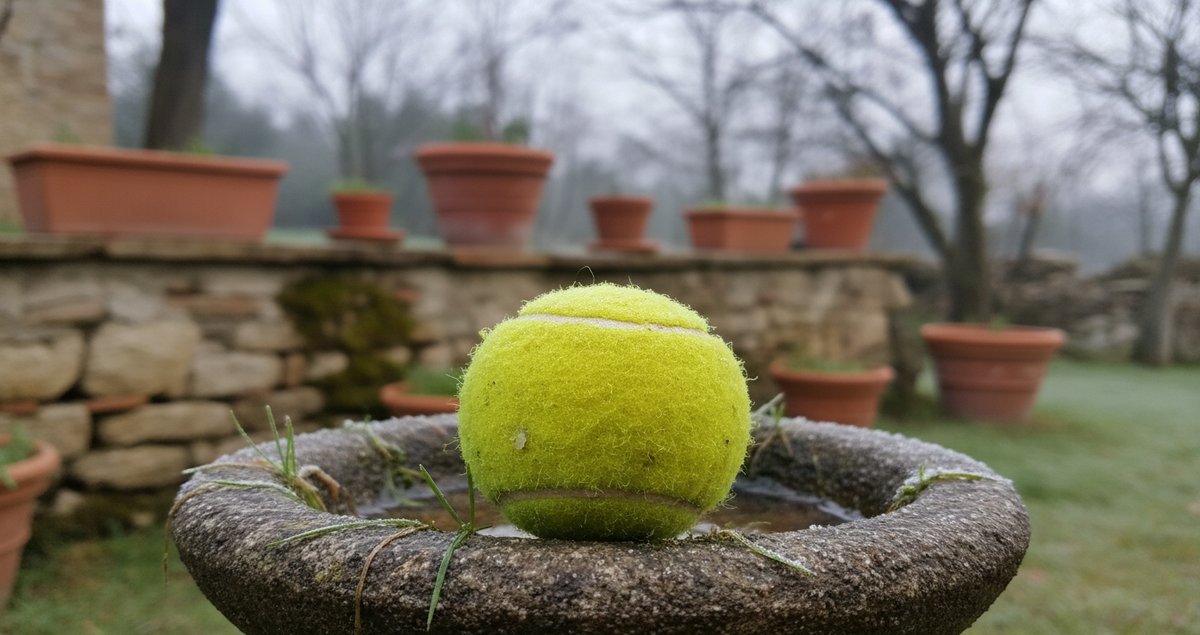 palline-tennis-giardino-trucco-inverno-uccelli-ricci