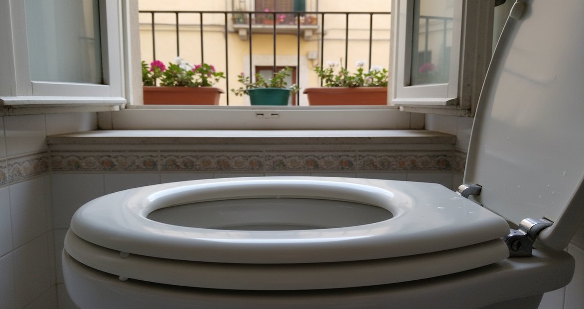 dibattito-sedile-wc-su-o-giu-consigli-esperti-igiene