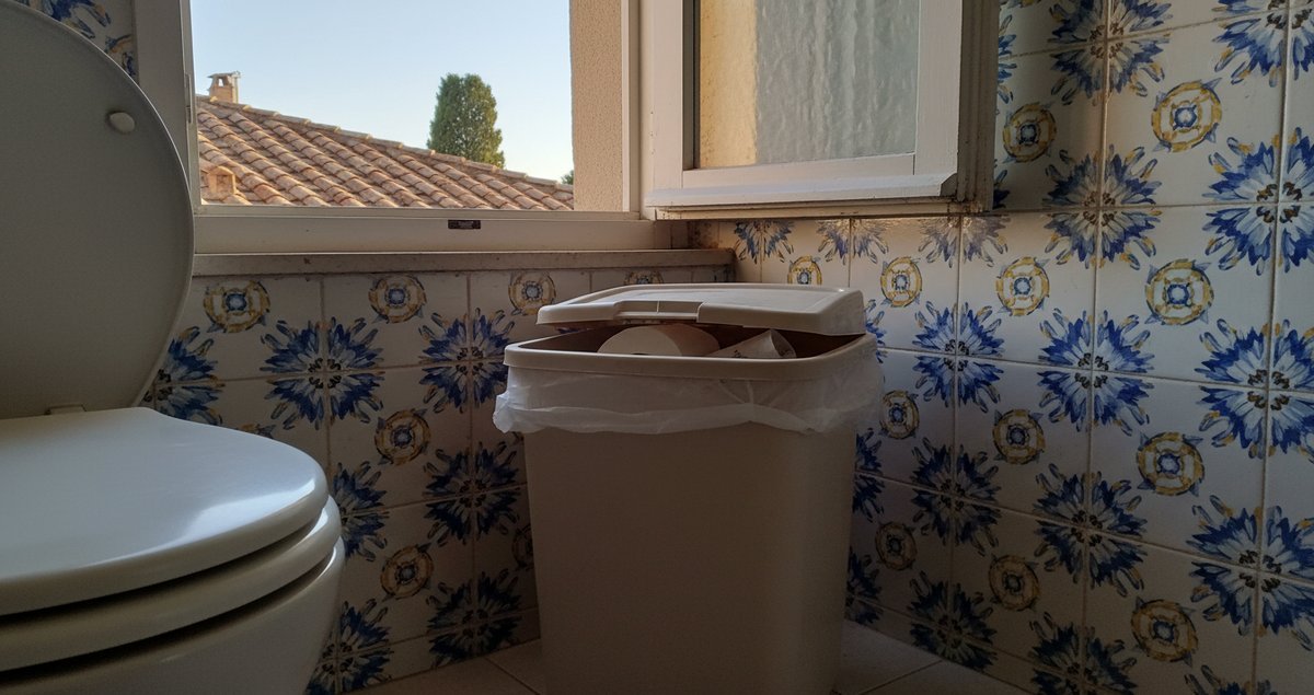 carta-igienica-water-disastro-silenzioso-ingegneri-ragione