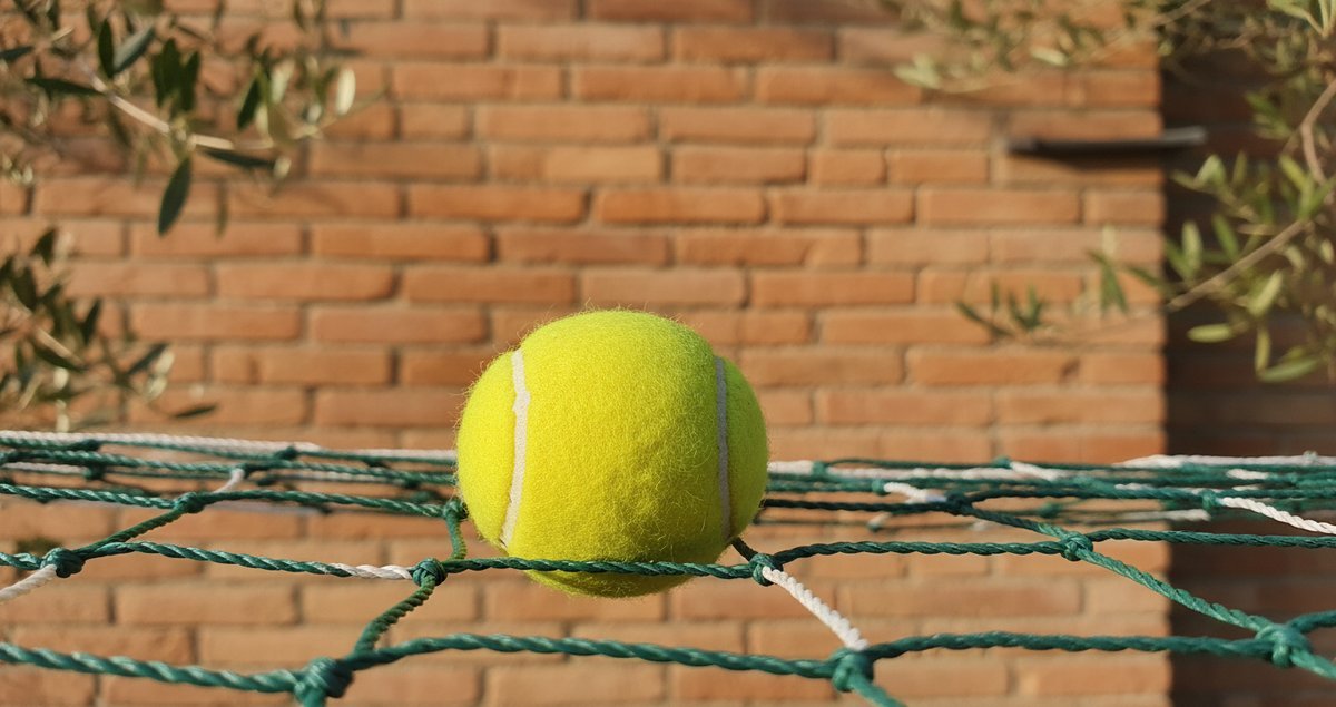 tennis-balls-in-the-garden-trucco-invernale-salva-uccelli-ricci